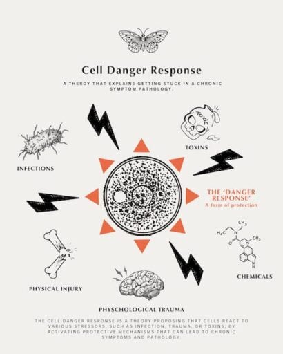 Cell Danger Response