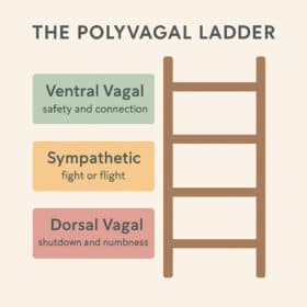 Polyvagal Ladder