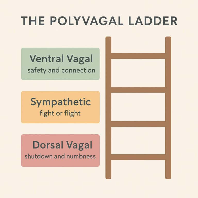 The Polyvagal Ladder